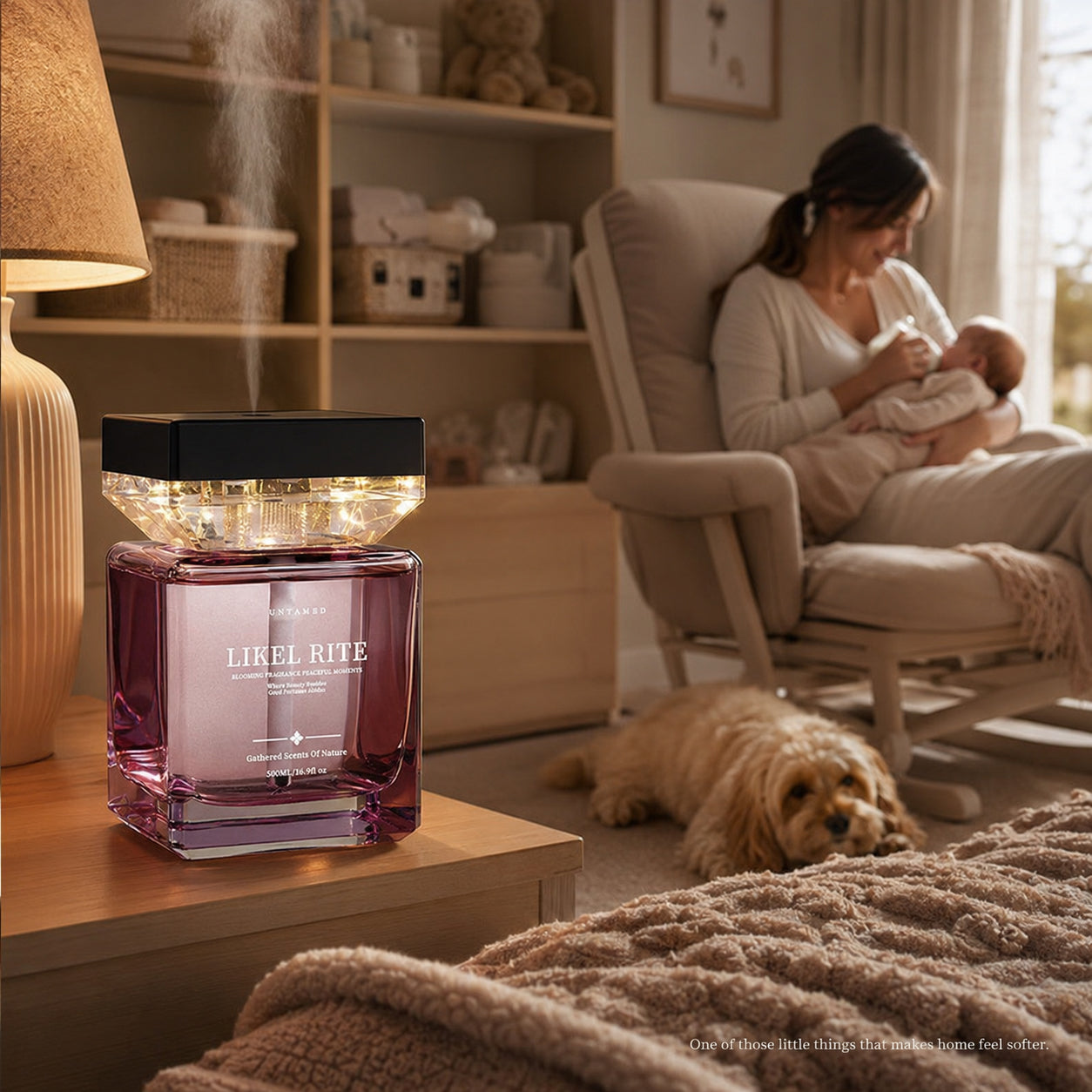 Scent Mist Diffuser